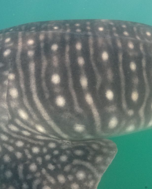 0c93cc1e-1a89-4b21-9a39-2914cf76ffaf