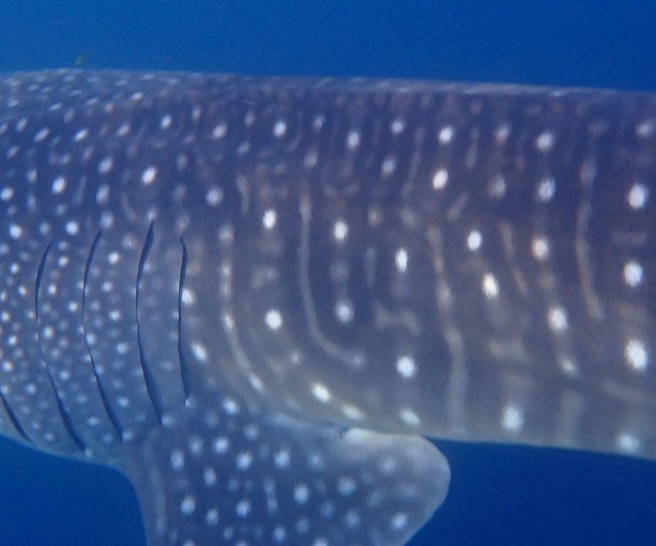 03ddf151-2c41-4382-bb3e-33746a820e98