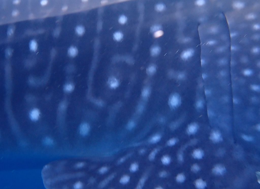 03ddf151-2c41-4382-bb3e-33746a820e98