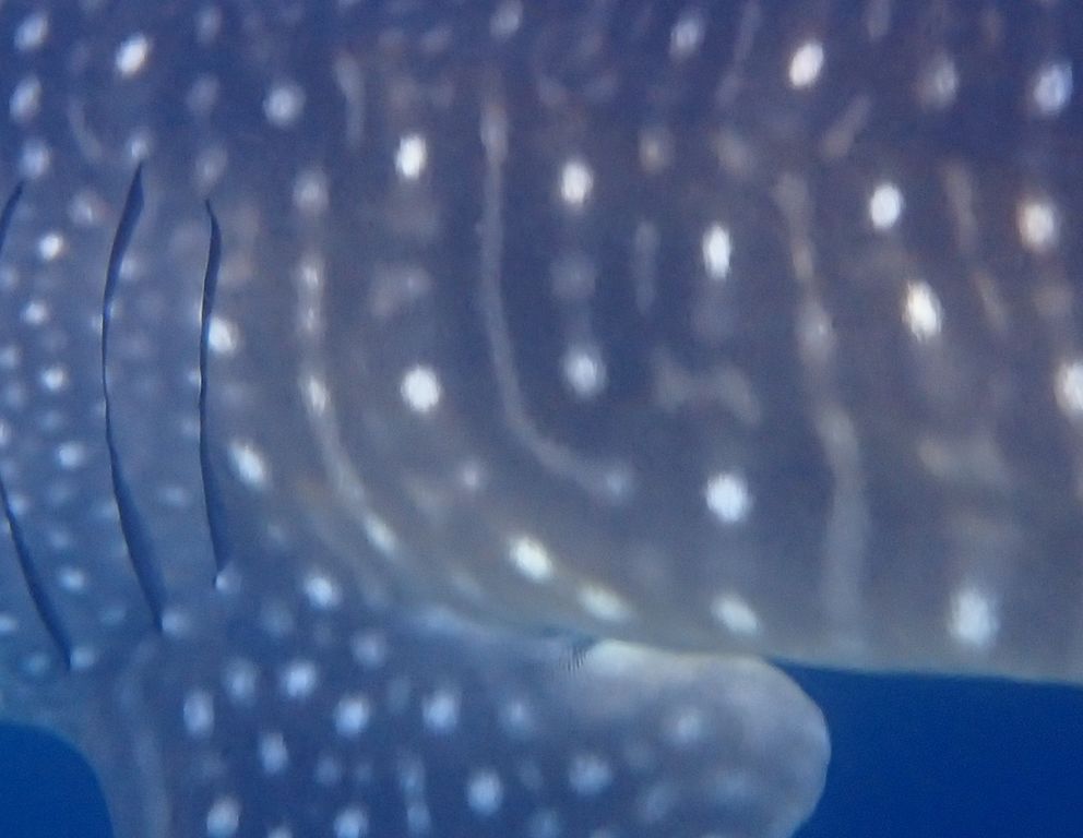 03ddf151-2c41-4382-bb3e-33746a820e98