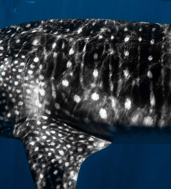 be68cd55-7d7d-41ac-9656-72de5185426b