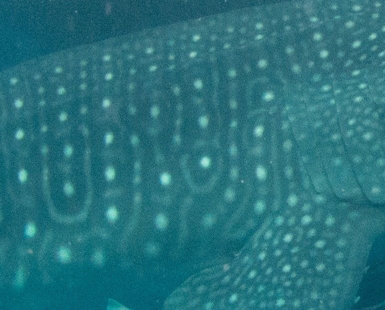 8b38c424-f944-4ba7-b216-aa7900a24c07