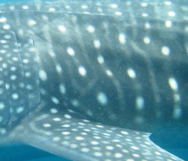 d3caef8c-c97c-4c99-a9b5-3fa3f485e907