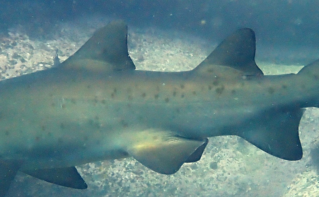 6f66ea98-3c9b-422c-af7c-08b773f9b0f2