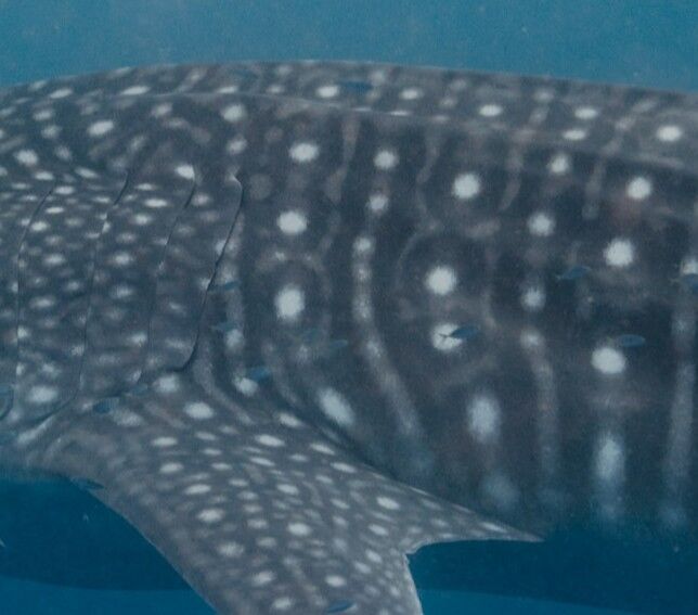 f0cce4e7-7fab-47ca-a437-72b21d56fcf3