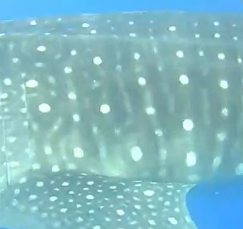 8d8ef800-ec2b-463e-8986-89473798befa