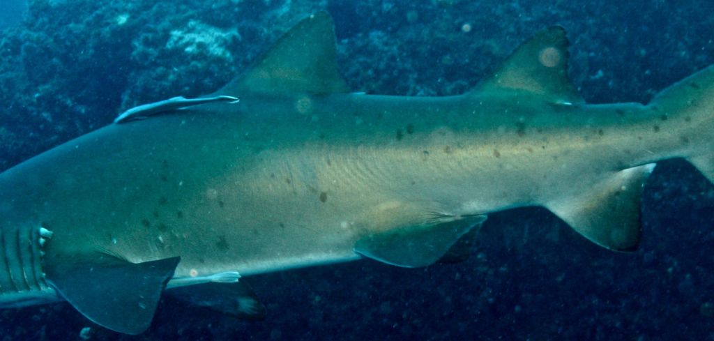 765a2bf4-4f0d-458f-a549-78b5fa9559d5