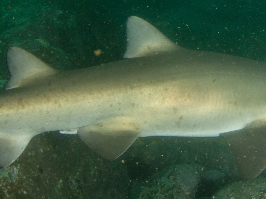 5f0d0aa0-3d68-40bb-8199-e1d1fa0ba743