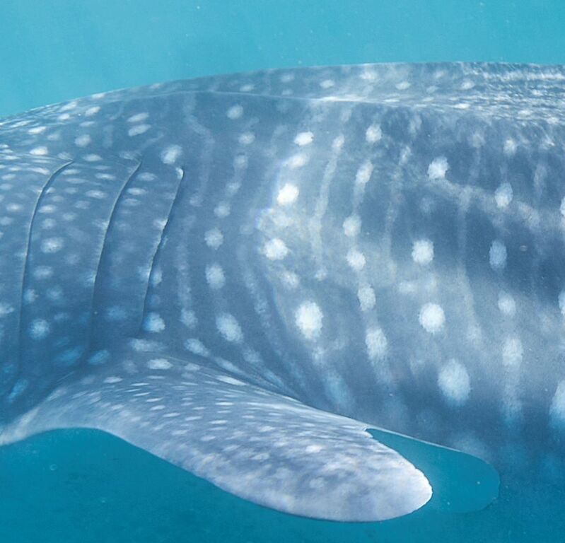 50020b70-60e5-4b21-8f04-3d3fa822ab0d