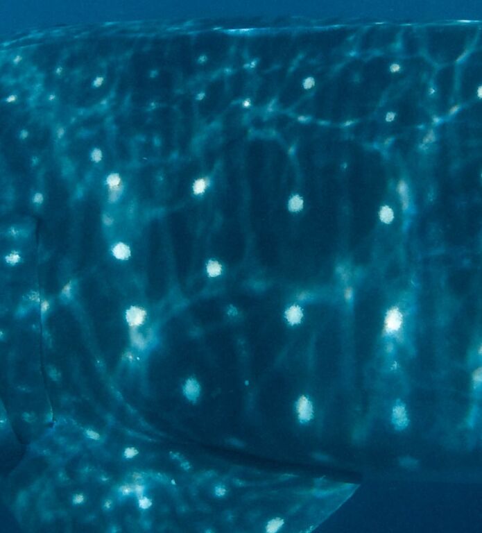 84d5aa59-86d6-4f95-aab4-0b88bcc16855