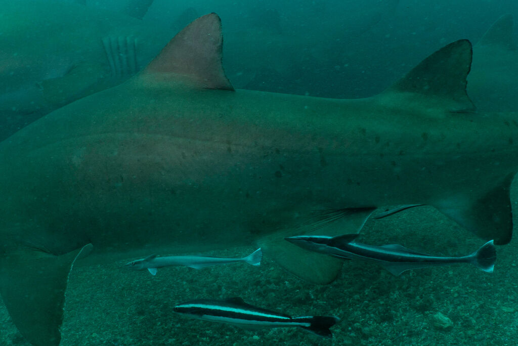 56fdf24e-4e09-49c5-bd3a-12b4ce67aa5d