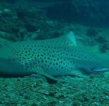 fac205ae-8772-4e22-93e7-cb9bae2f69f8