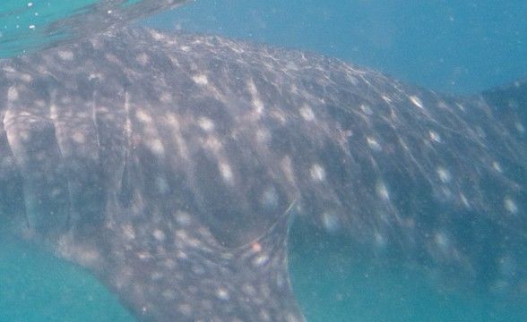 016c0088-3a9b-434a-aef1-395735ab73c2