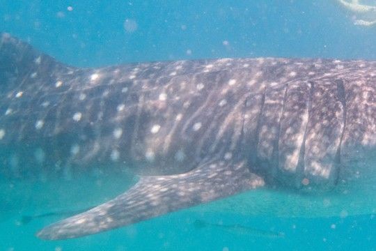 016c0088-3a9b-434a-aef1-395735ab73c2