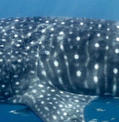 d90cf896-f424-412d-b96f-568225fee1e6