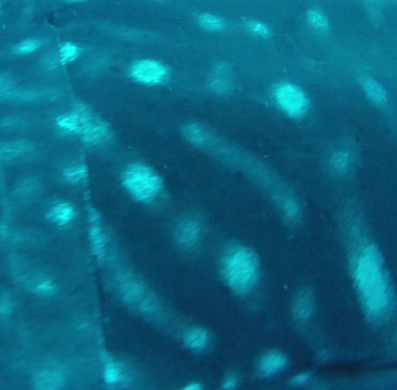 ec0285a4-0893-4478-bc71-e2f8212ea640