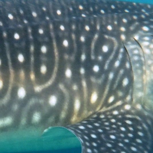 73076de6-9459-42f5-8531-9fff84069d28