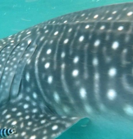 73076de6-9459-42f5-8531-9fff84069d28