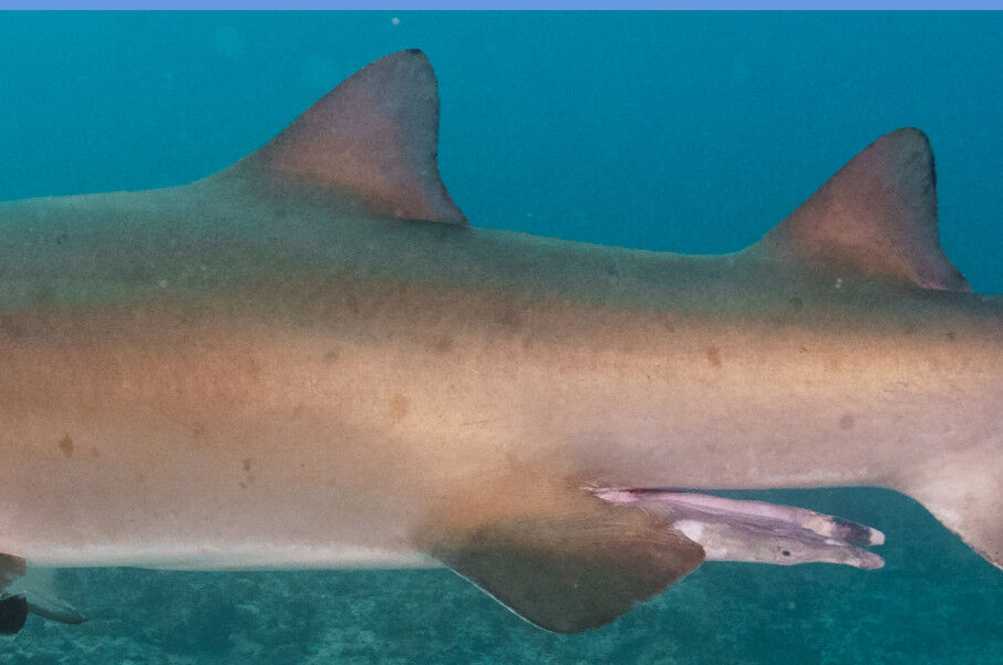 8e7a70f7-c2b8-4b82-894a-7c2caedd615b