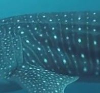 da0d640c-8a88-47de-914b-788f883175a0