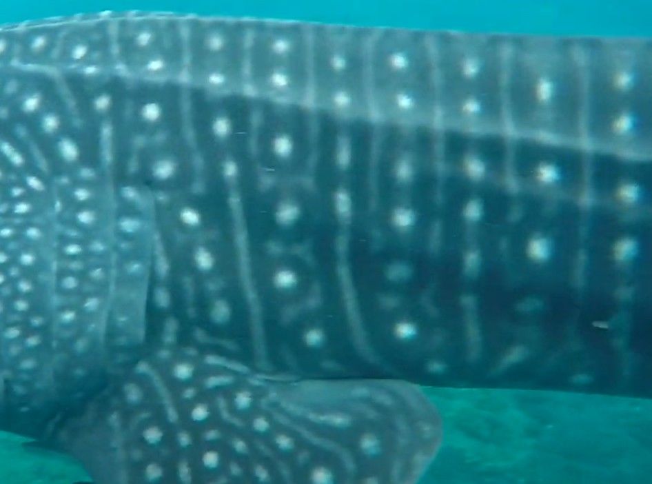 6b36fe5b-925a-4f2f-99ba-d73bf22fcffc