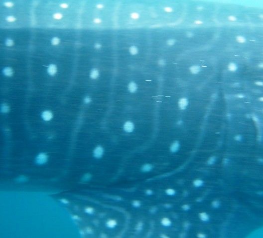 fb3968e3-1495-48a5-a8fc-fc1ac437a638