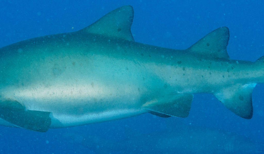 a2502274-c40b-46c3-a20f-5f0831e2192b