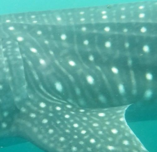 1696b392-0623-4727-a18b-30d450dc15c5