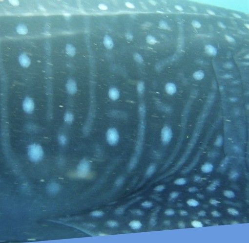 a3899a3f-6d2d-47fe-a530-55cef437bc58