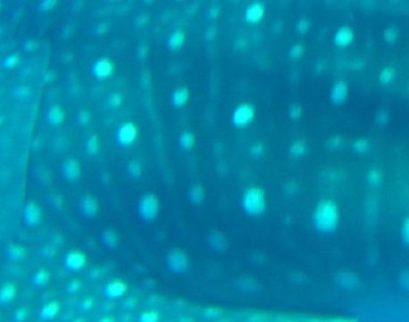 df21a95e-2584-40e9-9319-0a386676e4f9