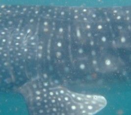 adc292ea-d9fc-49f7-8a9b-3d88e929f01d