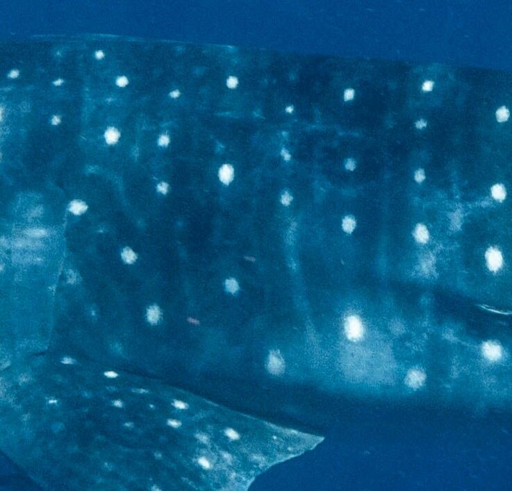 292dd1b3-9ce2-4c73-a52e-3628a5a4cb88