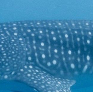 d4a5b074-3538-4aec-be86-d22190a96286