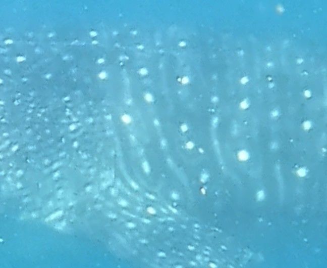 3f7f74ac-e78e-4183-98f5-89755d70986c