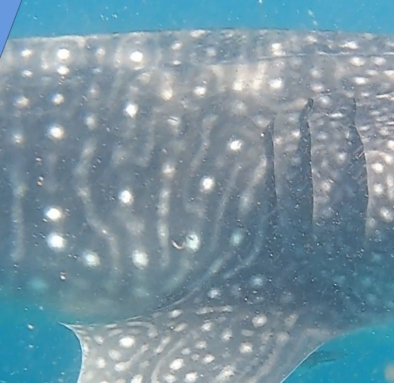 3f7f74ac-e78e-4183-98f5-89755d70986c