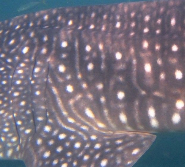 f4050274-613f-4206-aadf-cb5b53e61ad7