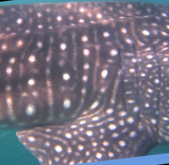 f4050274-613f-4206-aadf-cb5b53e61ad7