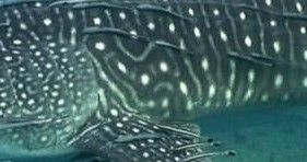 1db49c31-78a7-43da-8df9-d06dbcc9c8ab