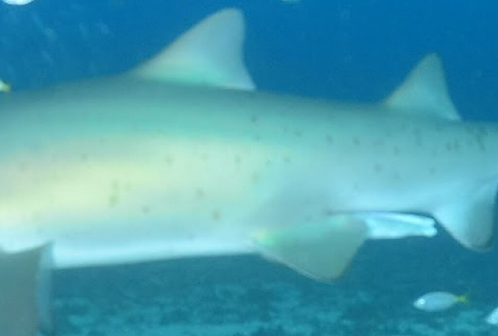 4d862df1-c59e-48ae-b8cb-ca69f46c408f