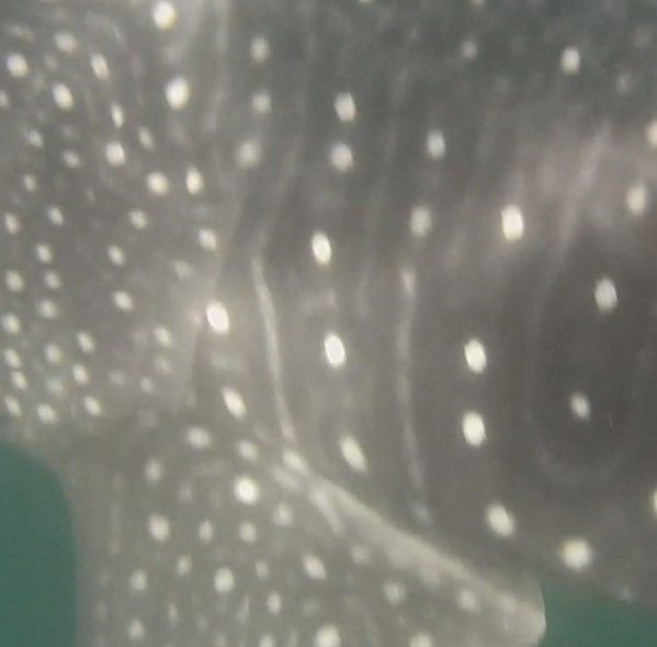 21cbcbc3-3d88-43a3-b5d2-0a497d609d7a