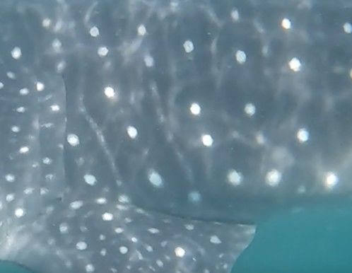 21cbcbc3-3d88-43a3-b5d2-0a497d609d7a