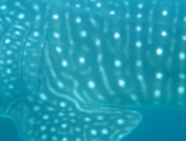 8cf1f9fd-a14f-4877-892d-0e36e17c9f68