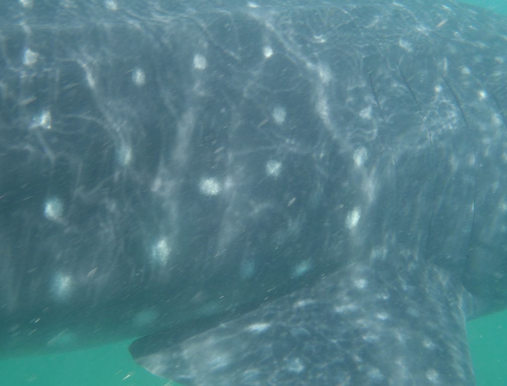 c3d045cc-a471-4e81-954b-225211ea4a58