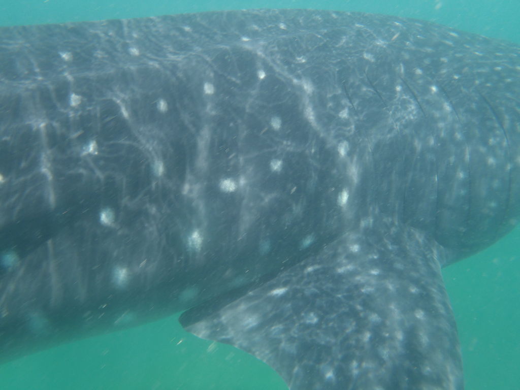 c3d045cc-a471-4e81-954b-225211ea4a58