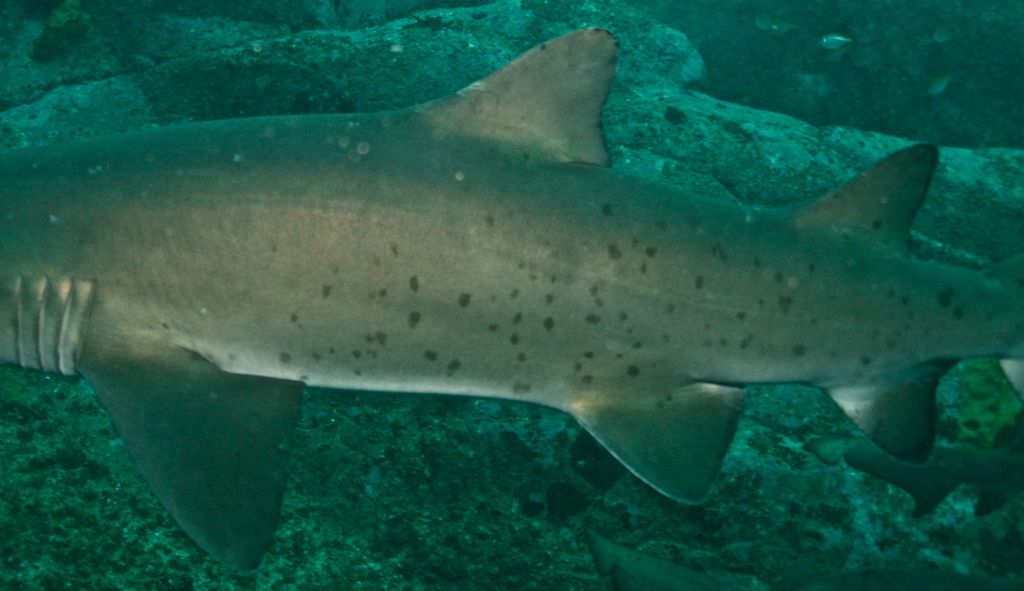 af28eee1-04ff-4fcd-8ade-308c7da9a201