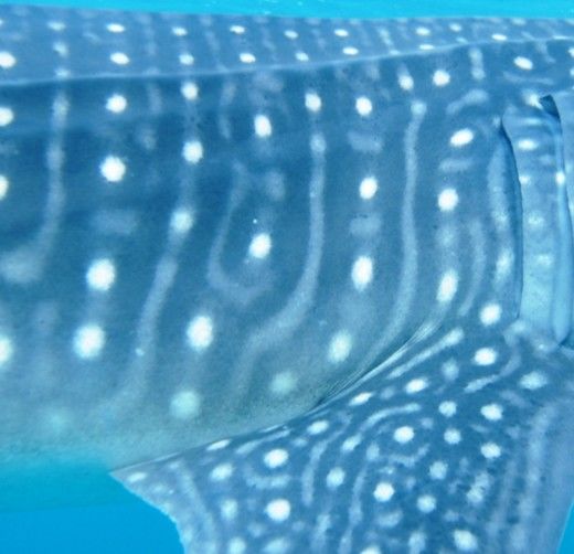 5136bb25-8c0d-4c11-8ecd-71934a606d68