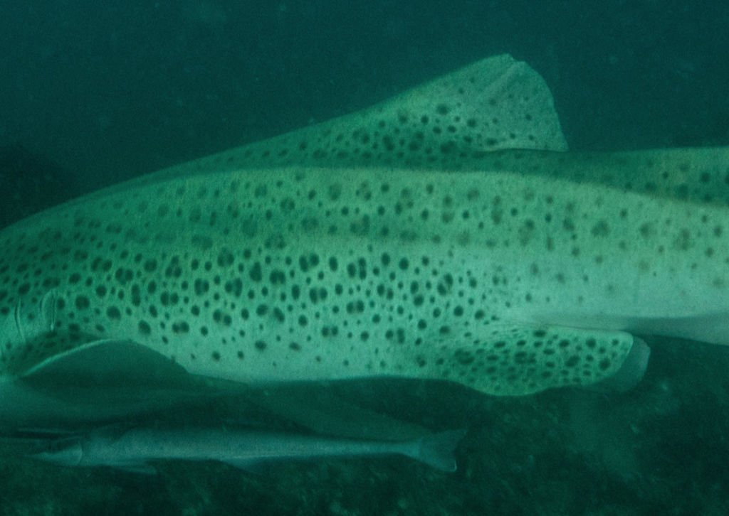 2915f28a-c58d-4bf9-856c-5eeee715a3b9