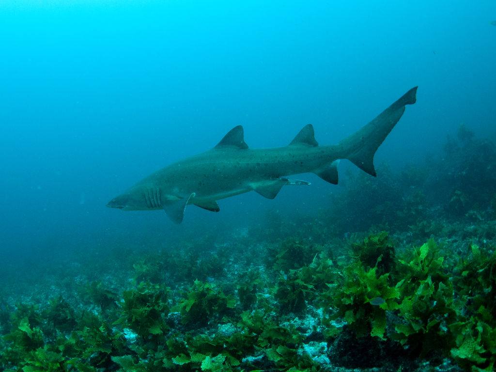 4f44ecc3-72fd-4682-87f2-f78086db62b4