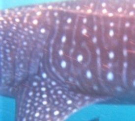 a3899a3f-6d2d-47fe-a530-55cef437bc58