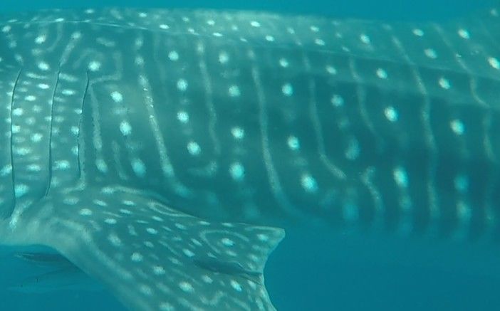 a0dd0754-cdc5-4f64-8a34-f752b8766432